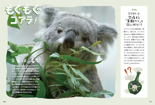 【累計5万部突破!!】「かわいい」だけで終わらせたくない！ 究極のコアラ愛蔵書『コアラ沼への招待状』4月2日発売