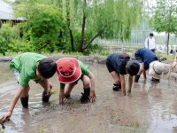 【京都水族館】年間パスポート会員限定の特別プログラム
「里山教室 稲作部～やってみよう!お米づくり～」を開催