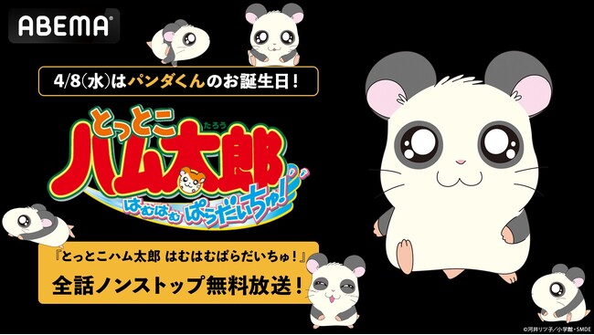4月8日（水）は「ハムちゃんず」の“職人”パンダくんの誕生日！誕生日当日・朝6時30分より「ABEMA」で『とっとこハム太郎 はむはむぱらだいちゅ！』全話ノンストップ無料一挙放送が決定！