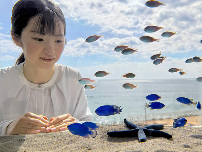 見頃を迎える国営ひたち海浜公園のネモフィラの風景をモチーフに演出した特設水槽が、アクアワールド・大洗に4月9日より期間限定で登場！