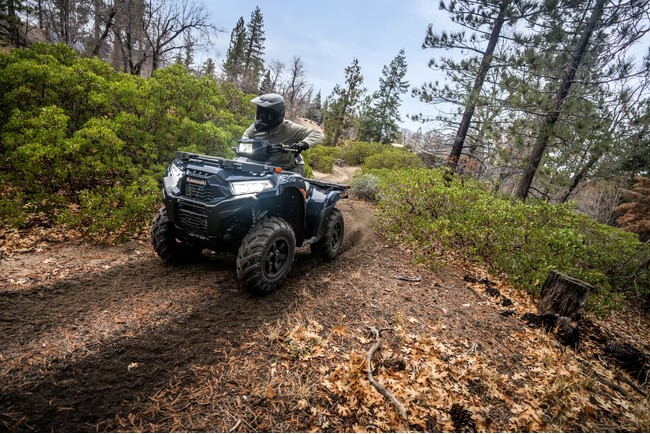 カワサキから新たなグラフィックを採用した「BRUTE FORCE 750」が登場