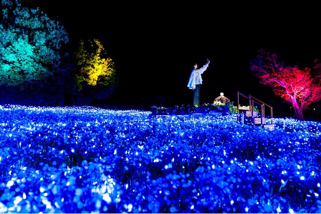 【東京・舎人公園】3.5万本のネモフィライベントが本日スタート！青いネモフィラの上に立って撮影できる没入型フォトスポットも登場。昼も夜も満喫できる春の花々イルミネーションを17日間限定開催。