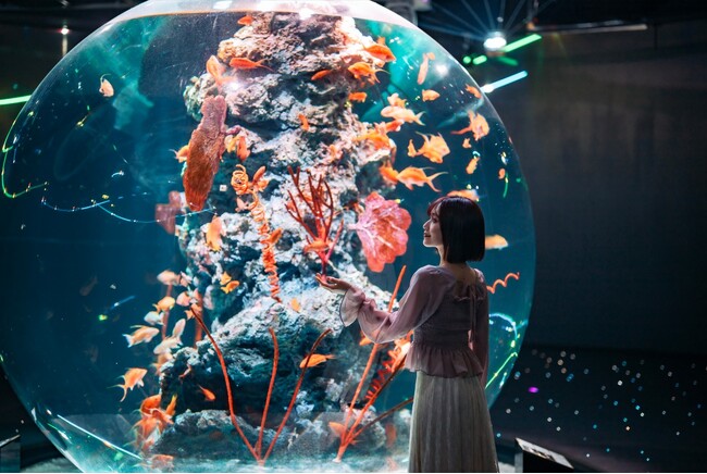 GWは営業時間を延長!多彩な体験イベント開催!【神戸の港の劇場型アクアリウムatoa】