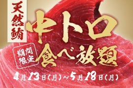 天然マグロの中トロ食べ放題