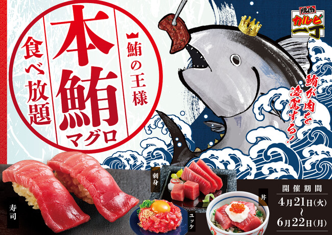 焼肉店で本まぐろが食べ放題!?【カルビ一丁】が“肉×海鮮も楽しめる”「まぐろフェア」を4月21日より開催