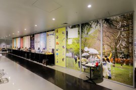 2025年に実施した塩見研究室の展示のようす 2025年に実施した塩見研究室の展示のようす