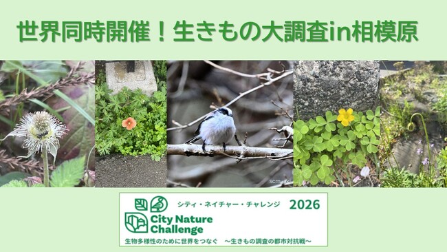 【生物多様性に興味のある皆さまへ】相模原市で世界規模の「生きもの調査」に参加してみませんか!