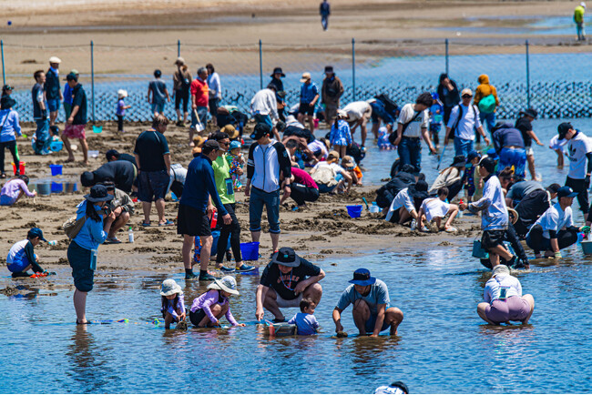 日本初※の「潮干狩りチャンピオンシップ」を開催!!