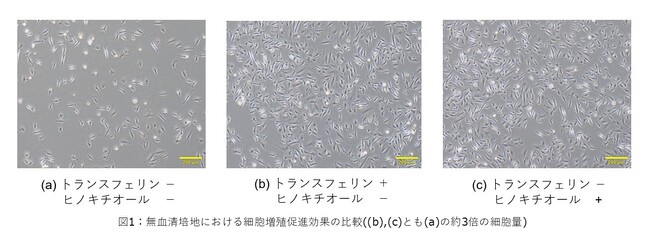 味の素(株)、細胞性食品※用培地のコスト削減に貢献する、植物由来の成分を活用した新技術を開発
