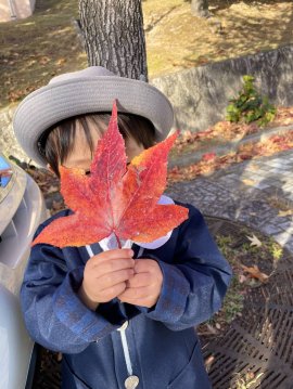 西宮市北部のスポット写真(1) 西宮市北部のスポット写真(1)