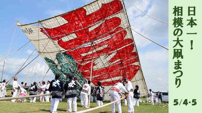 【相模原市】その大きさ日本一!令和8年「相模の大凧まつり」を5月4日・5日に開催します!