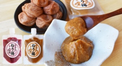 【原材料は梅と塩のみ】これ、梅そのまま！無添加「ねり梅」待望の新発売