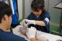 開園45周年企画『あなたの夢叶えます！』実施報告
 8歳の「未来の獣医師」が夢の第一歩
本物の医療機器で注射・エコーを特別体験！