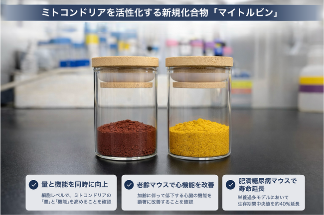 マイトジェニック、新規成分「マイトルビン」の抗老化・心機能改善効果を学術発表。Nature系『npj Aging』に掲載