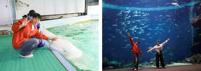 【鴨川シーワールド】夜の水族館で心ほどける癒し時間。ベルーガへのタッチや給餌体験も！大人だけの時間を味わう『大人のチルタイムプラン』開催