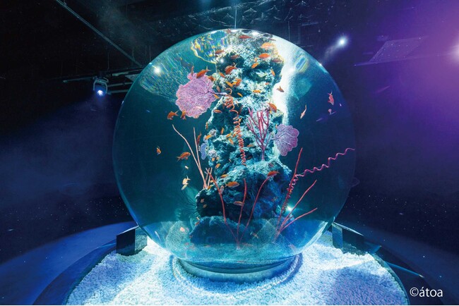 【神戸メリケンパークオリエンタルホテル】神戸初！幻想的な都市型水族館「atoa」で花束サプライズ　大切な人との記念日を彩る“アニバーサリーステイプラン”販売