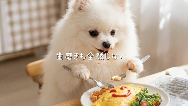 犬の3歳以上80%が歯周病──音楽で伝える啓発MV『食べたなら、歯磨き革命』Vol.1公開