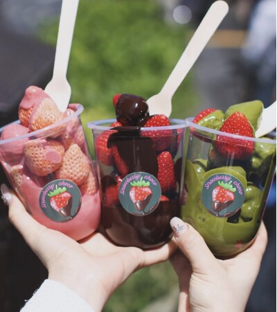 【長崎】究極の苺スイーツ。ストロベリーチョコ 専門店「Strawberry choco」がDEJIMA博に出店！2026年5月2日～2026年5月6日