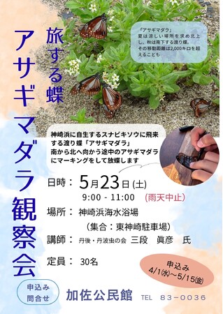 【5月23日開催】舞鶴・神崎浜で「アサギマダラ」観察会。2,000キロを旅する蝶のマーキングに挑戦