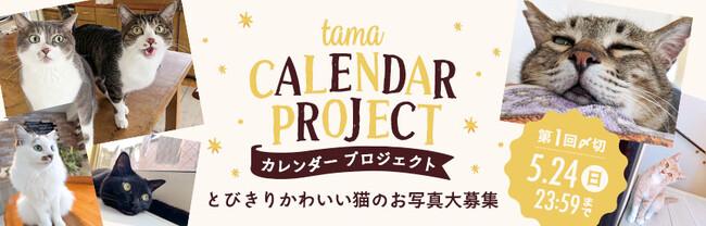 tamaのカレンダープロジェクト「とびきり、かわいい！」猫の写真大募集
