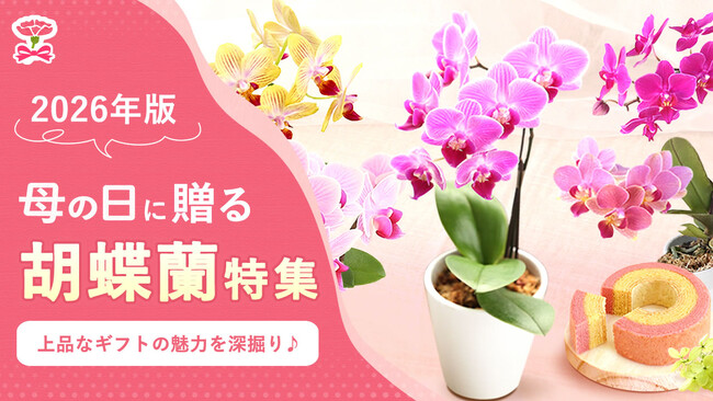 「母の日ギフトに胡蝶蘭」が選ばれるのはなぜ?喜ばれる理由と失敗しない選び方