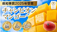 【奈良で大行列】台湾「県知事賞」受賞農園のマンゴー使用　『チャンピオンマンゴー』かき氷が奈良イベントで完売一般予約販売を開始