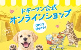公式オンラインショップオープン！