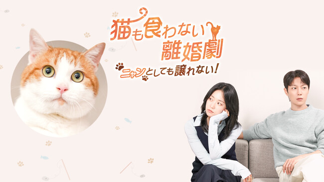 【フジテレビ】ユン・ドゥジュン＆キム・スルギ 10年ぶりの共演！韓国ドラマ『猫も食わない離婚劇～ニャンとしても譲れない！～』FODにて完全独占配信決定！