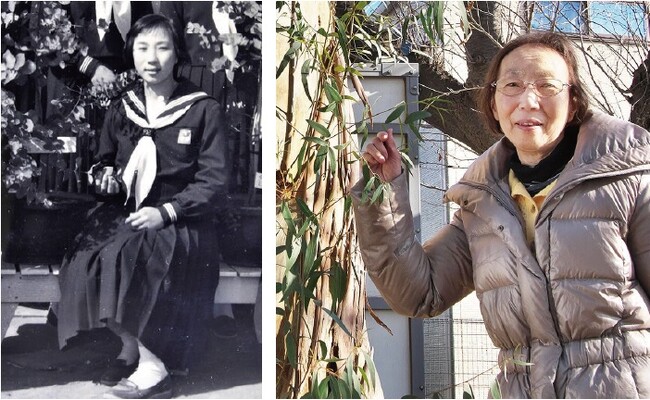68年前に中学生が送った手紙をきっかけに、千葉県松戸市とオーストラリアホワイトホース市は姉妹都市提携55周年を迎えました