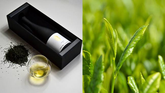 【2026年 数量限定】最高新鮮を誰よりも早く。2026年度の採れたて新茶のボトリングティー「IBUKI」の予約受付・販売を開始