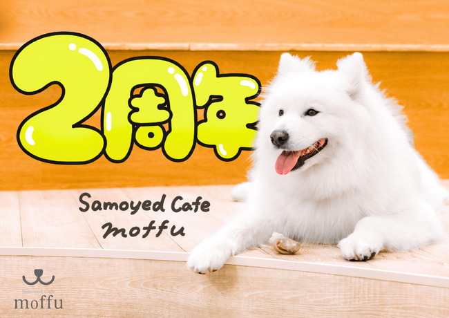サモエドカフェmoffu、2周年で来場者25万人突破--“触れ合い体験”が都市型ペット市場に新たな価値