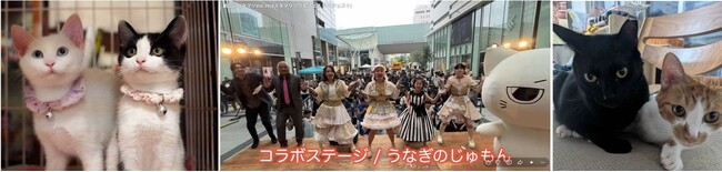 【静岡・浜松】5月31日は浜松駅前「ソラモフェス」に全員集合！!　音楽&グルメ&動物保護で「やさしさ」の輪を広げよう????
