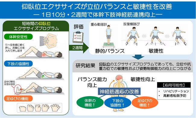 仰臥位エクササイズが立位バランスと敏捷性を改善　― 短時間・2週間の体操で体幹下肢神経筋連携向上 ―