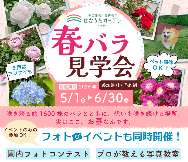 静岡県伊東市にある大型樹木葬霊園『はなうたガーデン-伊東-』が春バラ見学会＆フォトイベントを開催！（6月30日(火)まで）