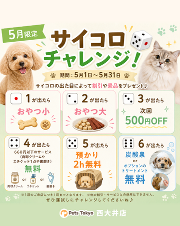 【PetsTokyo 西大井店】5月限定!サイコロチャレンジキャンペーンを開催