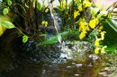 京都の食文化を支えてきた錦の湧き水 京都の食文化を支えてきた錦の湧き水