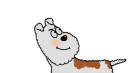 サムティくん1 サムティくん1