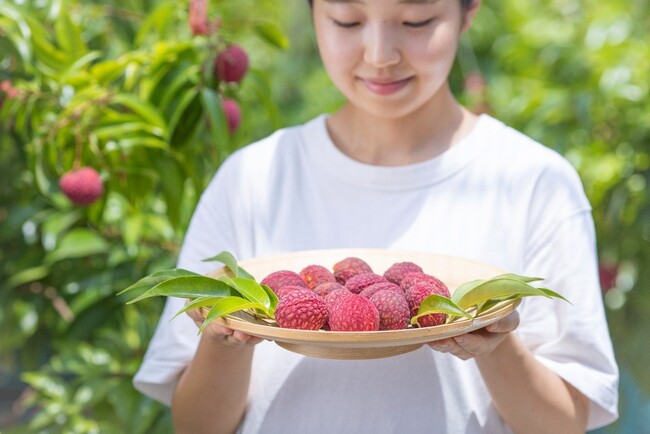 宮崎発の国産有機ライチ&マンゴー いちごポタジェ、完熟果実の夏ギフトお得な先行予約を開始