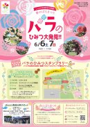 バラのひみつ大発見1