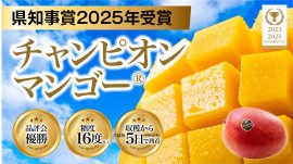 チャンピオンマンゴー