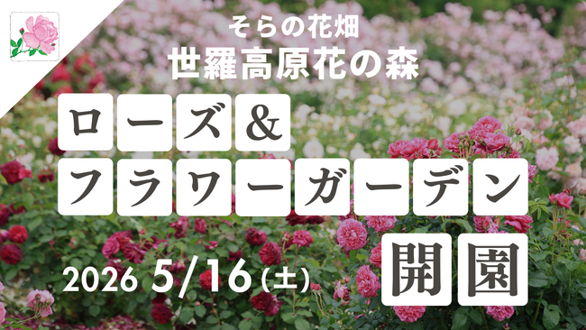 【広島／世羅】そらへと続く天空のばら園「ローズ＆フラワーガーデン」5月16日OPEN！《そらの花畑　世羅高原花の森》