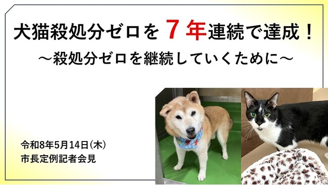 【奈良市役所】犬猫殺処分ゼロを7年連続で達成しました【市長会見】(令和8年5月14日発表)