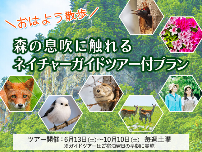 【北海道・層雲峡温泉】＼おはよう散歩／シマエナガにも出会えるかも？！自然の見どころや観察ポイントを教えてもらえるネイチャーガイド付きプラン