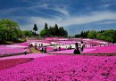 第22回秩父鉄道写真コンテスト 観光部門 推薦(秩父鉄道社長賞)作品