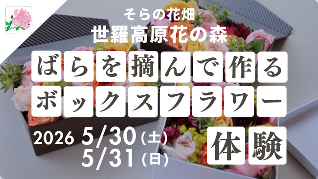 【広島／世羅】園内のばらを摘んでアレンジメントを作る「ボックスフラワー体験」を今年も開催《そらの花畑　世羅高原花の森》