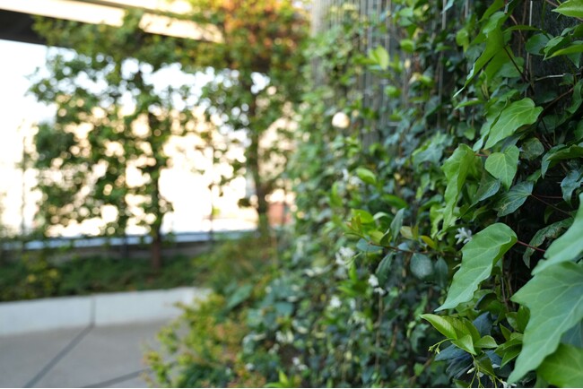 「いちご恵比寿グリーングラス」にて植栽リニューアルを実施テナント様同士の交流イベント「Hello Green! Garden Party」を開催