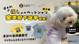 新たに追加された立石選手の刺繍ユニフォームを纏うワンちゃん 新たに追加された立石選手の刺繍ユニフォームを纏うワンちゃん