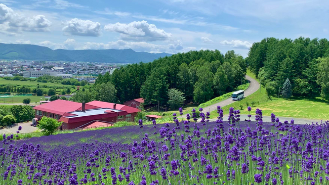 【北海道富良野市】富良野・美瑛ノロッコ号ラストイヤーの夏、駅から先の観光周遊をもっと快適に!