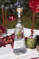 フロール・アルテーニャ(Flor Altena) フロール・アルテーニャ(Flor Altena)