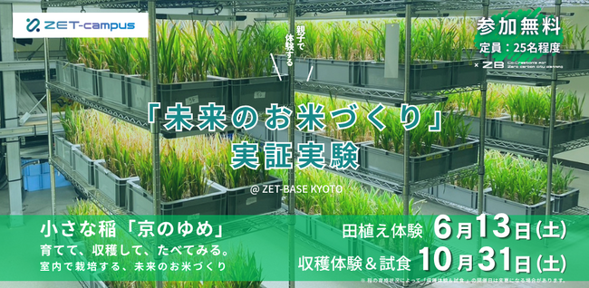 ZET-BASE KYOTOが「実証フィールド」へ。背丈20cmの稲が、未来の農業とまちをつなぐ。